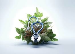 Green Hospitals: Sustainability in the Healthcare Sector